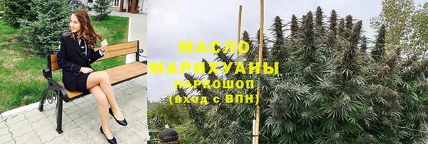 индика Богданович