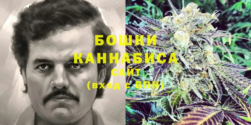 Шишки марихуана OG Kush  Ельня 